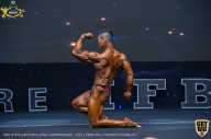 IFBB Чемпионат мира по бодибилдингу - 2019