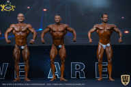 IFBB Чемпионат мира по бодибилдингу - 2019