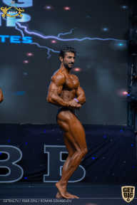 IFBB Чемпионат мира по бодибилдингу - 2019
