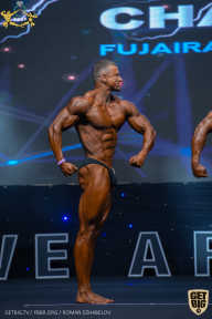 IFBB Чемпионат мира по бодибилдингу - 2019