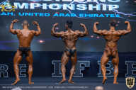 IFBB Чемпионат мира по бодибилдингу - 2019