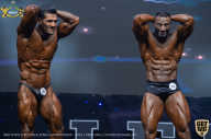 IFBB Чемпионат мира по бодибилдингу - 2019
