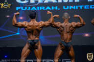 IFBB Чемпионат мира по бодибилдингу - 2019