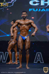 IFBB Чемпионат мира по бодибилдингу - 2019