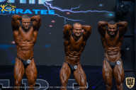 IFBB Чемпионат мира по бодибилдингу - 2019