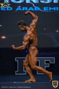 IFBB Чемпионат мира по бодибилдингу - 2019