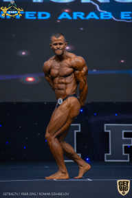 IFBB Чемпионат мира по бодибилдингу - 2019