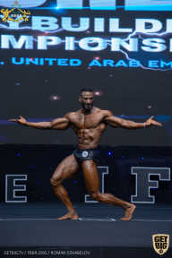 IFBB Чемпионат мира по бодибилдингу - 2019