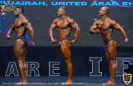 IFBB Чемпионат мира по бодибилдингу - 2019