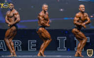 IFBB Чемпионат мира по бодибилдингу - 2019