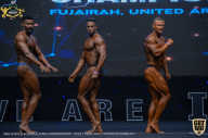 IFBB Чемпионат мира по бодибилдингу - 2019