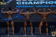 IFBB Чемпионат мира по бодибилдингу - 2019