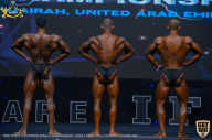 IFBB Чемпионат мира по бодибилдингу - 2019