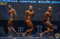 IFBB Чемпионат мира по бодибилдингу - 2019