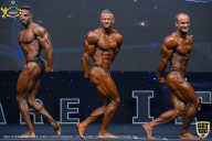 IFBB Чемпионат мира по бодибилдингу - 2019