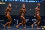 IFBB Чемпионат мира по бодибилдингу - 2019