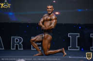 IFBB Чемпионат мира по бодибилдингу - 2019