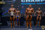 IFBB Чемпионат мира по бодибилдингу - 2019