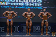 IFBB Чемпионат мира по бодибилдингу - 2019
