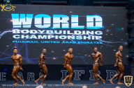 IFBB Чемпионат мира по бодибилдингу - 2019