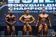 IFBB Чемпионат мира по бодибилдингу - 2019