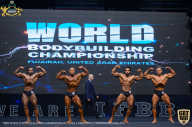 IFBB Чемпионат мира по бодибилдингу - 2019