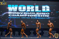 IFBB Чемпионат мира по бодибилдингу - 2019
