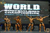 IFBB Чемпионат мира по бодибилдингу - 2019
