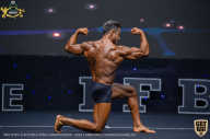 IFBB Чемпионат мира по бодибилдингу - 2019
