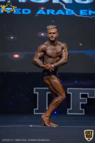 IFBB Чемпионат мира по бодибилдингу - 2019