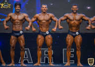 IFBB Чемпионат мира по бодибилдингу - 2019
