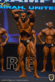 IFBB Чемпионат мира по бодибилдингу - 2019