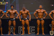 IFBB Чемпионат мира по бодибилдингу - 2019