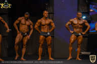 IFBB Чемпионат мира по бодибилдингу - 2019