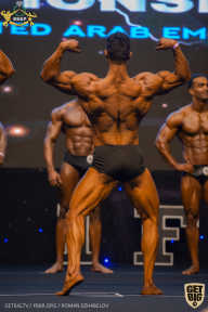 IFBB Чемпионат мира по бодибилдингу - 2019