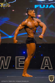 IFBB Чемпионат мира по бодибилдингу - 2019