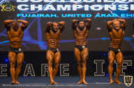 IFBB Чемпионат мира по бодибилдингу - 2019