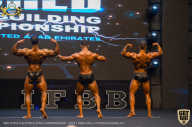 IFBB Чемпионат мира по бодибилдингу - 2019
