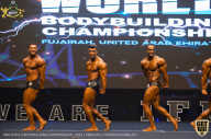 IFBB Чемпионат мира по бодибилдингу - 2019