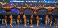 IFBB Чемпионат мира по бодибилдингу - 2019