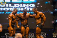 IFBB Чемпионат мира по бодибилдингу - 2019