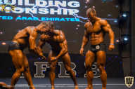 IFBB Чемпионат мира по бодибилдингу - 2019