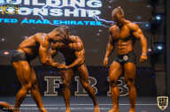 IFBB Чемпионат мира по бодибилдингу - 2019