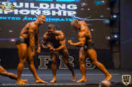 IFBB Чемпионат мира по бодибилдингу - 2019