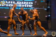 IFBB Чемпионат мира по бодибилдингу - 2019