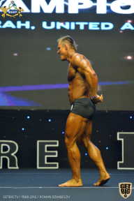 IFBB Чемпионат мира по бодибилдингу - 2019