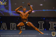 IFBB Чемпионат мира по бодибилдингу - 2019