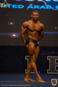 IFBB Чемпионат мира по бодибилдингу - 2019