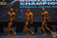 IFBB Чемпионат мира по бодибилдингу - 2019