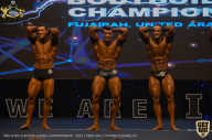 IFBB Чемпионат мира по бодибилдингу - 2019